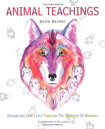 Animal Teachings