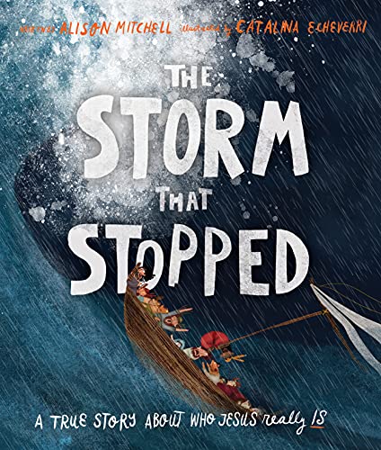 Book Cover The Storm That Stopped (Tales That Tell the Truth)