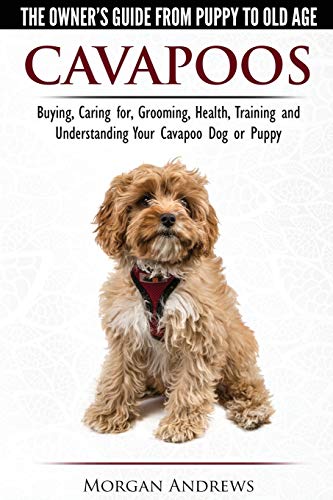 Book Cover Cavapoos - The Owner's Guide From Puppy To Old Age - Buying, Caring for, Grooming, Health, Training and Understanding Your Cavapoo Dog or Puppy