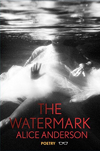 Book Cover The Watermark