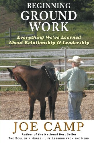 Book Cover Beginning Ground Work: Everything We've Learned About Relationship and Leadership