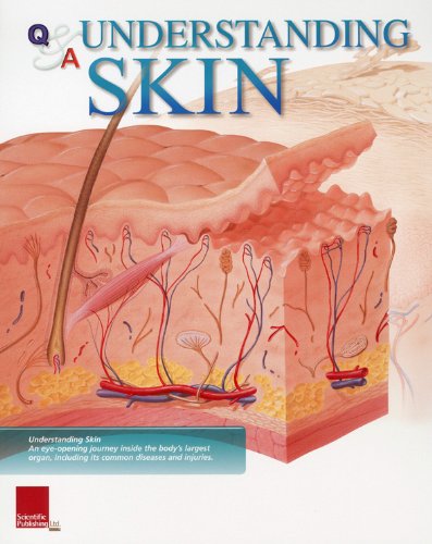 Book Cover Understanding Skin Flip Chart (Flip Charts)