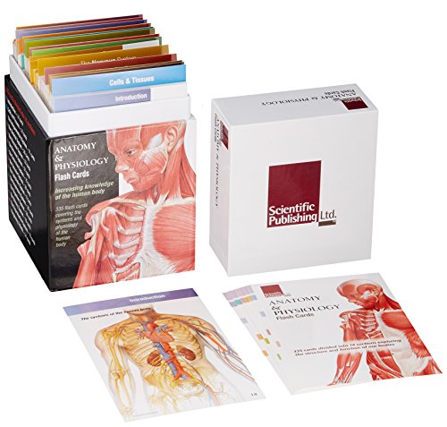 Book Cover Anatomy & Physiology Flash Cards