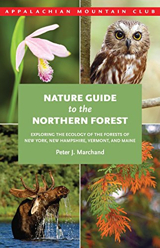 Book Cover Nature Guide to the Northern Forest: Exploring The Ecology Of The Forests Of New York, New Hampshire, Vermont, And Maine