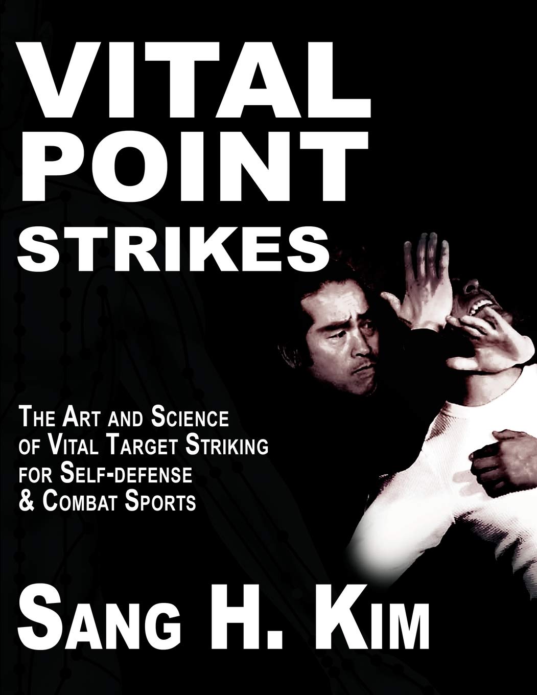 Book Cover Vital Point Strikes: The Art and Science of Striking Vital Targets for Self-defense and Combat Sports