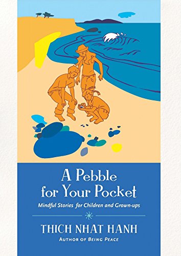 Book Cover A Pebble for Your Pocket