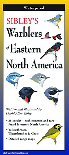 Book Cover Sibley's Warblers of Eastern North America (Foldingguides)