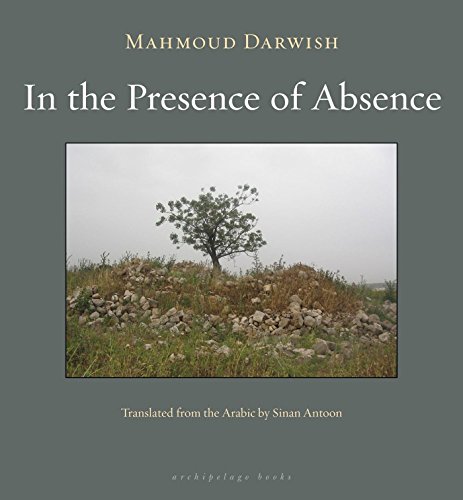Book Cover In the Presence of Absence