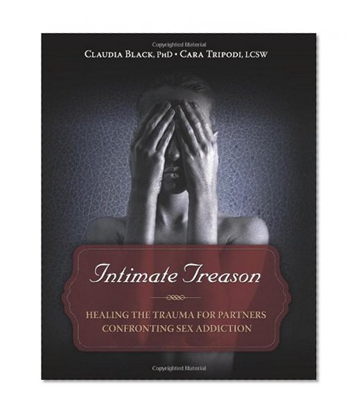 Book Cover Intimate Treason: Healing the Trauma for Partners Confronting Sex Addiction