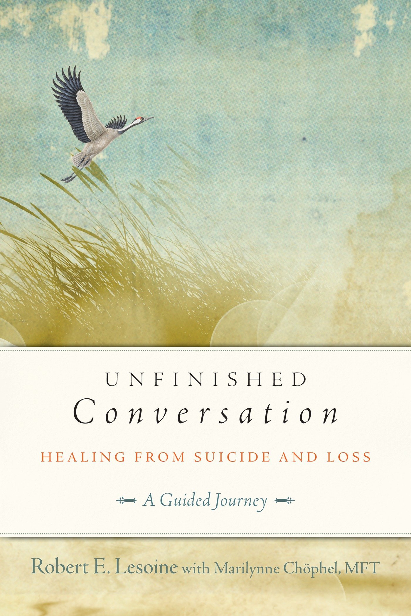 Book Cover Unfinished Conversation: Healing from Suicide and Loss
