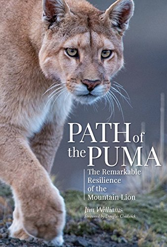 Book Cover Path of the Puma: The Remarkable Resilience of the Mountain Lion