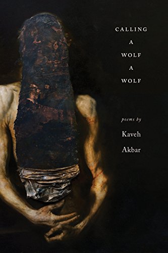 Book Cover Calling a Wolf a Wolf