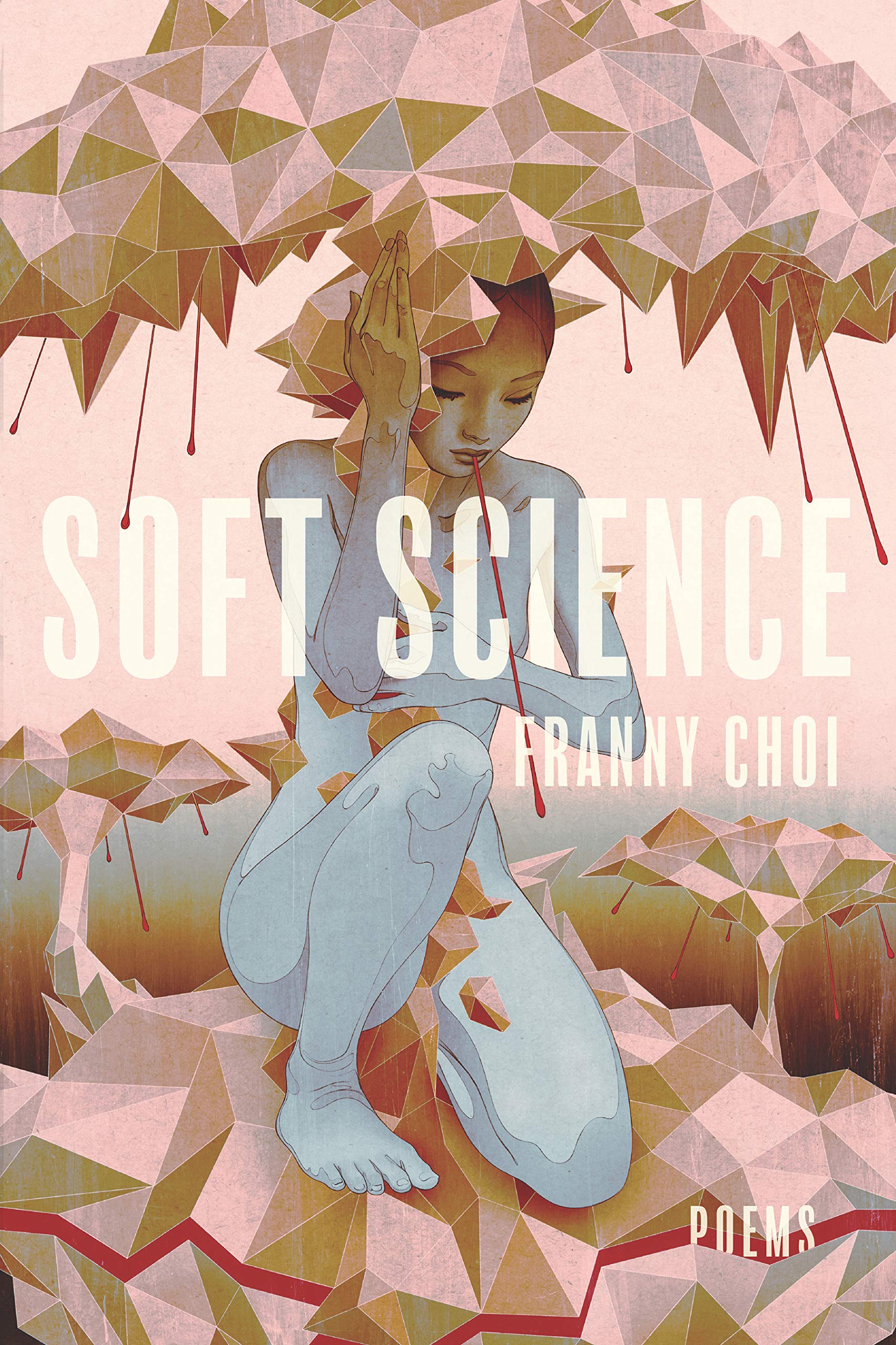 Book Cover Soft Science