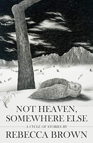 Book Cover Not Heaven, Somewhere Else