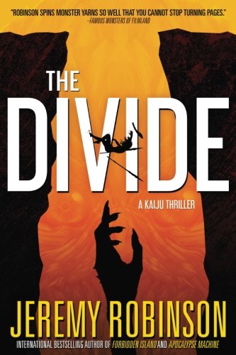 Book Cover The Divide