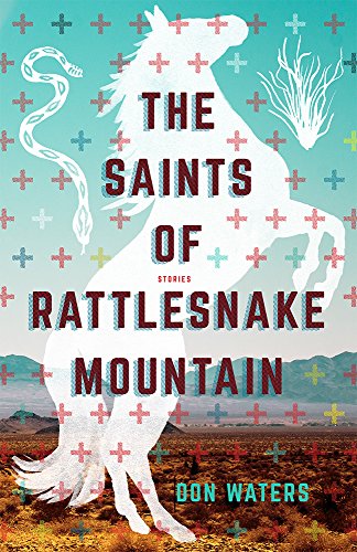 Book Cover The Saints of Rattlesnake Mountain: Stories