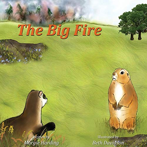 Book Cover The Big Fire