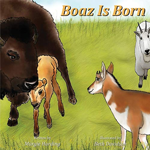 Book Cover Boaz Is Born