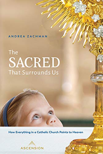 Book Cover The Sacred That Surrounds Us: How Everything in a Catholic Church Points to Heaven