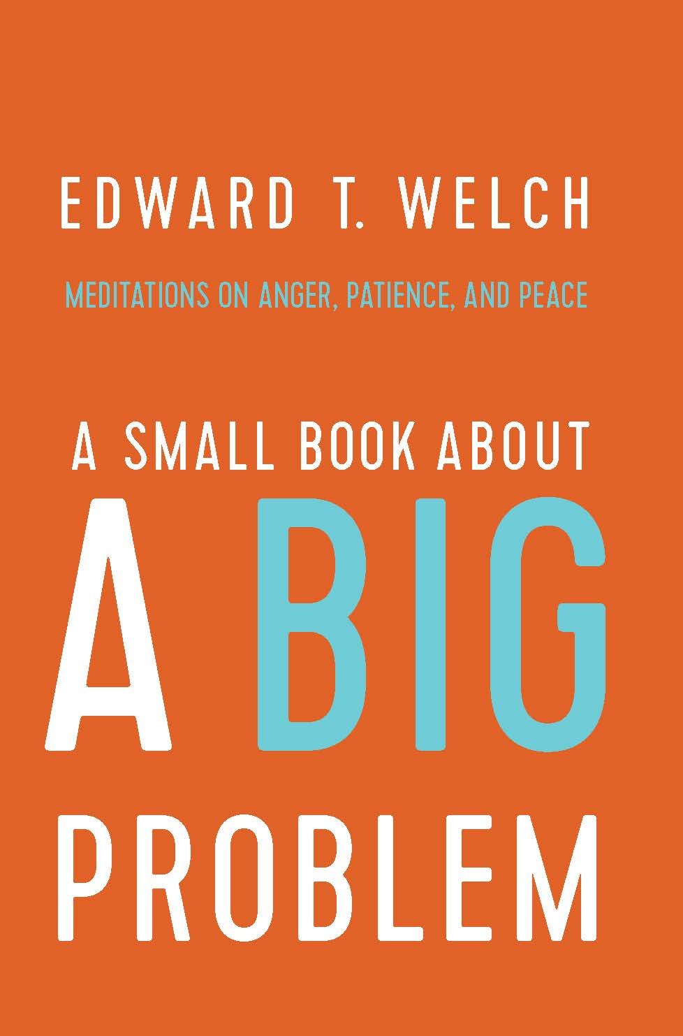 Book Cover A Small Book about a Big Problem: Meditations on Anger, Patience, and Peace