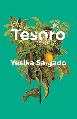 Book Cover Tesoro