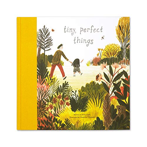 Book Cover Tiny, Perfect Things