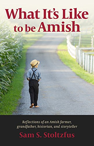 Book Cover What It's Like to Be Amish
