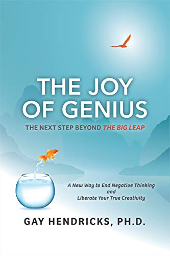 Book Cover The Joy of Genius: The Next Step Beyond The Big Leap