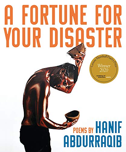 Book Cover A Fortune for Your Disaster