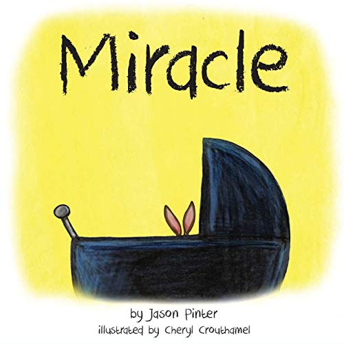 Book Cover Miracle