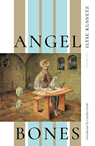 Book Cover Angel Bones