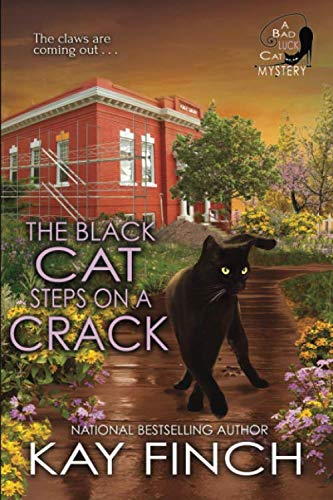Book Cover The Black Cat Steps on a Crack (A Bad Luck Cat Mystery)