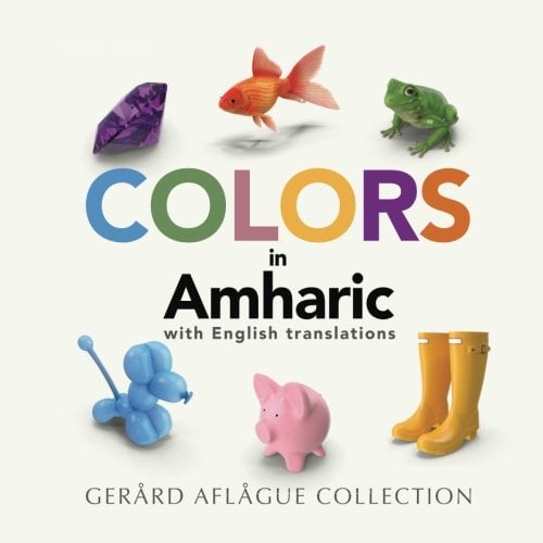 Book Cover Colors in Amharic With English Translations (Amharic Edition)