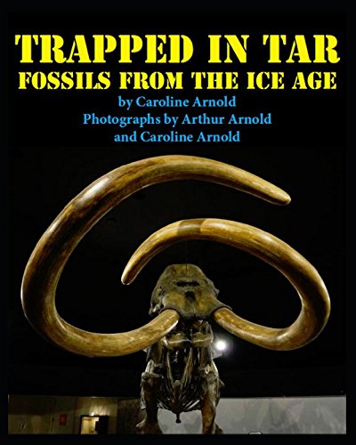 Book Cover Trapped in Tar: Fossils from the Ice Age