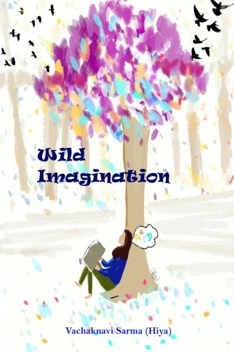 Book Cover Wild Imagination