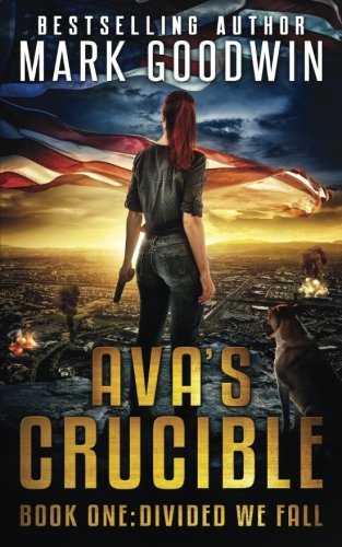 Book Cover Divided We Fall: A Novel of the Coming Civil War in America (Ava's Crucible)