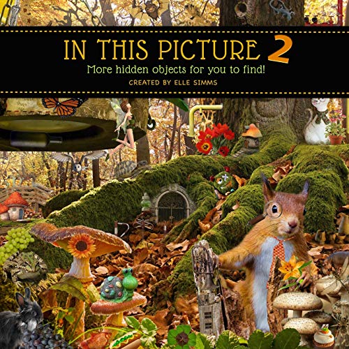 Book Cover In This Picture 2 - More Hidden Objects for You to Find! (Volume 2)