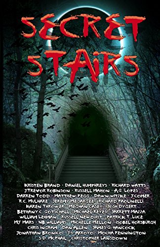Book Cover Secret Stairs: A Tribute to Urban legend