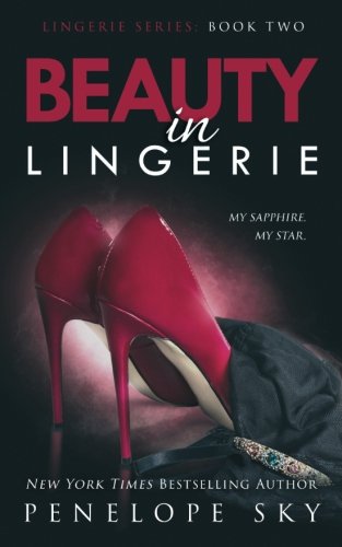 Book Cover Beauty in Lingerie (Volume 2)