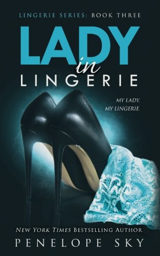 Book Cover Lady in Lingerie (Volume 3)