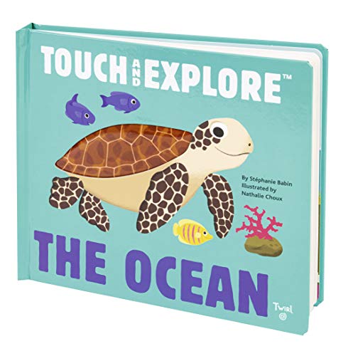 Book Cover The Ocean (Touch and Explore) (Touch and Explore, 1)