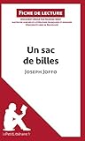 Un sac de billes de Joseph Joffo (Fiche de lecture): RÃ©sumÃ© complet et analyse dÃ©taillÃ©e de l'oeuvre (French Edition)