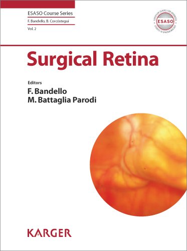 Surgical Retina: ESASO modules 2009 and 2010: Selected contributions (ESASO Course Series Vol. 2)