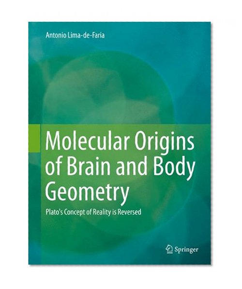 Molecular Origins of Brain and Body Geometry: Plato's Concept of Reality is Reversed