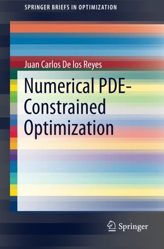 Numerical PDE-Constrained Optimization (SpringerBriefs in Optimization)