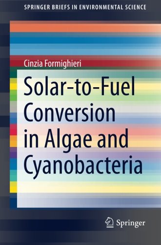 Solar-to-Fuel Conversion in Algae and Cyanobacteria (SpringerBriefs in Environmental Science)