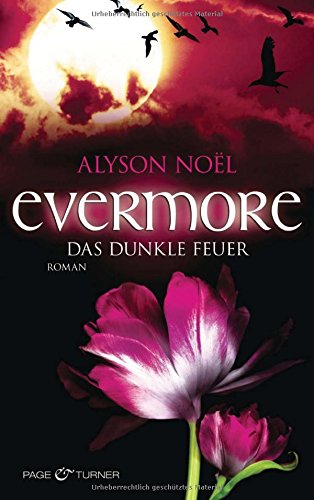 Evermore 04 - Das dunkle Feuer