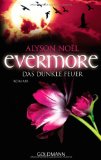 Evermore 04 - Das dunkle Feuer