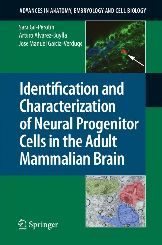 Identification and Characterization of Neural Progenitor Cells in the Adult Mammalian Brain (Advances in Anatomy, Embryology and Cell Biology)