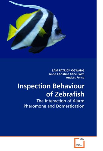 Inspection Behaviour of Zebrafish: The Interaction of Alarm Pheromone and Domestication